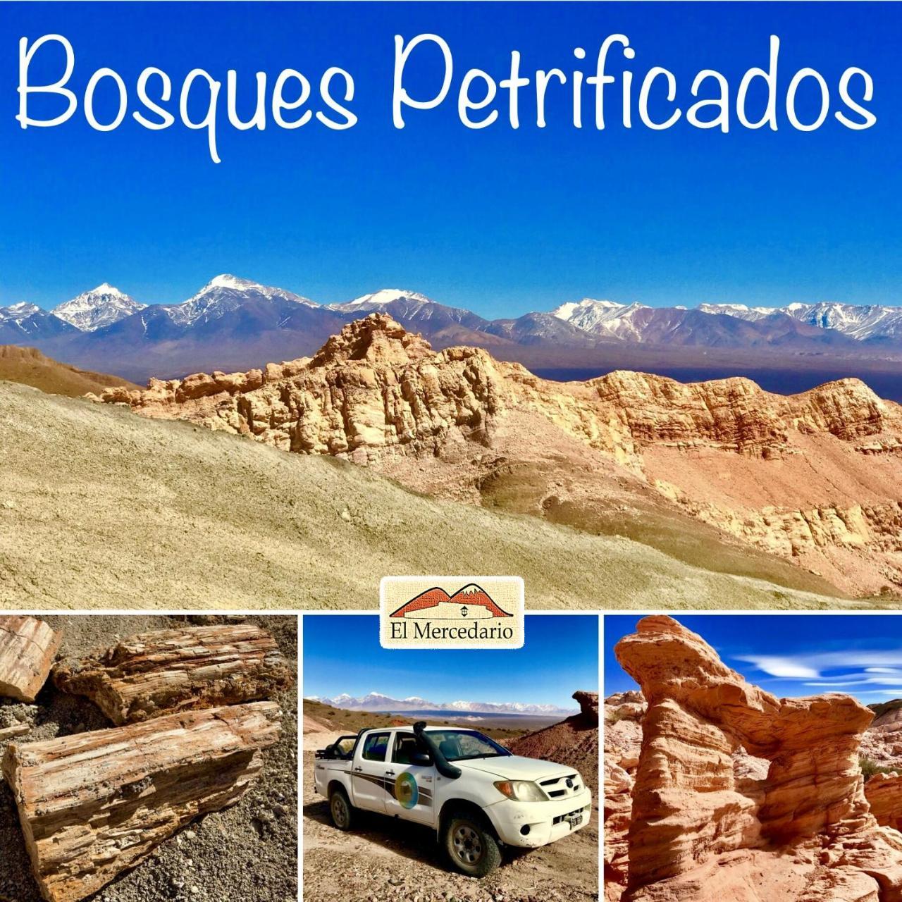 Ecoposada El Mercedario Barreal Bagian luar foto