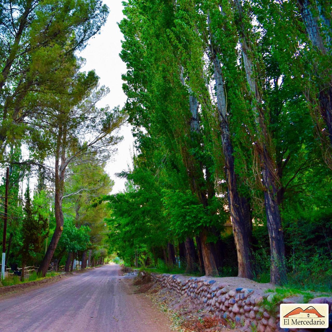 Ecoposada El Mercedario Barreal Bagian luar foto