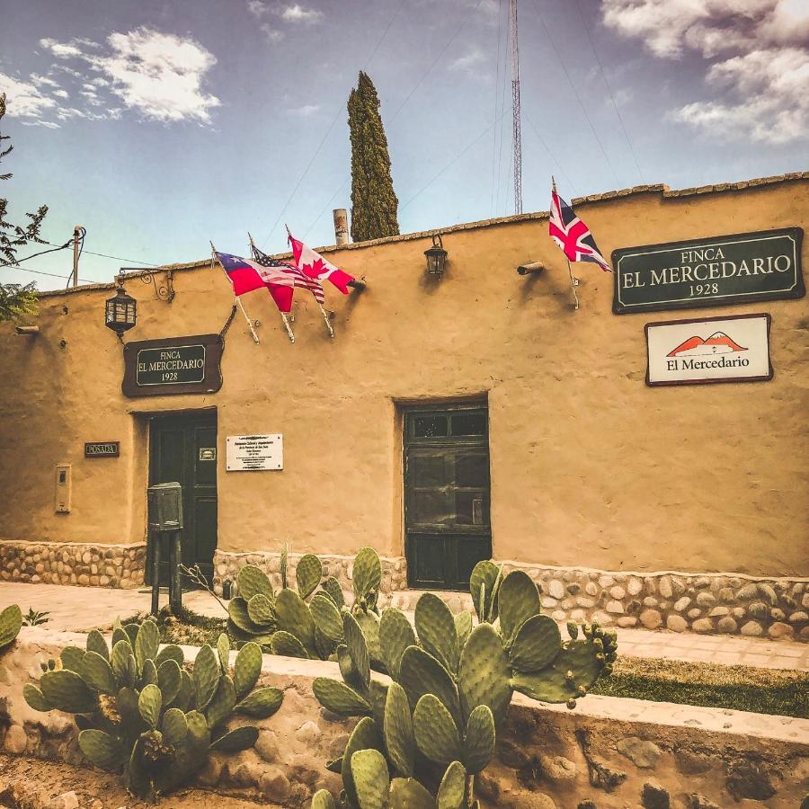 Ecoposada El Mercedario Barreal Bagian luar foto